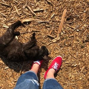 Meet your Posher, Sarah